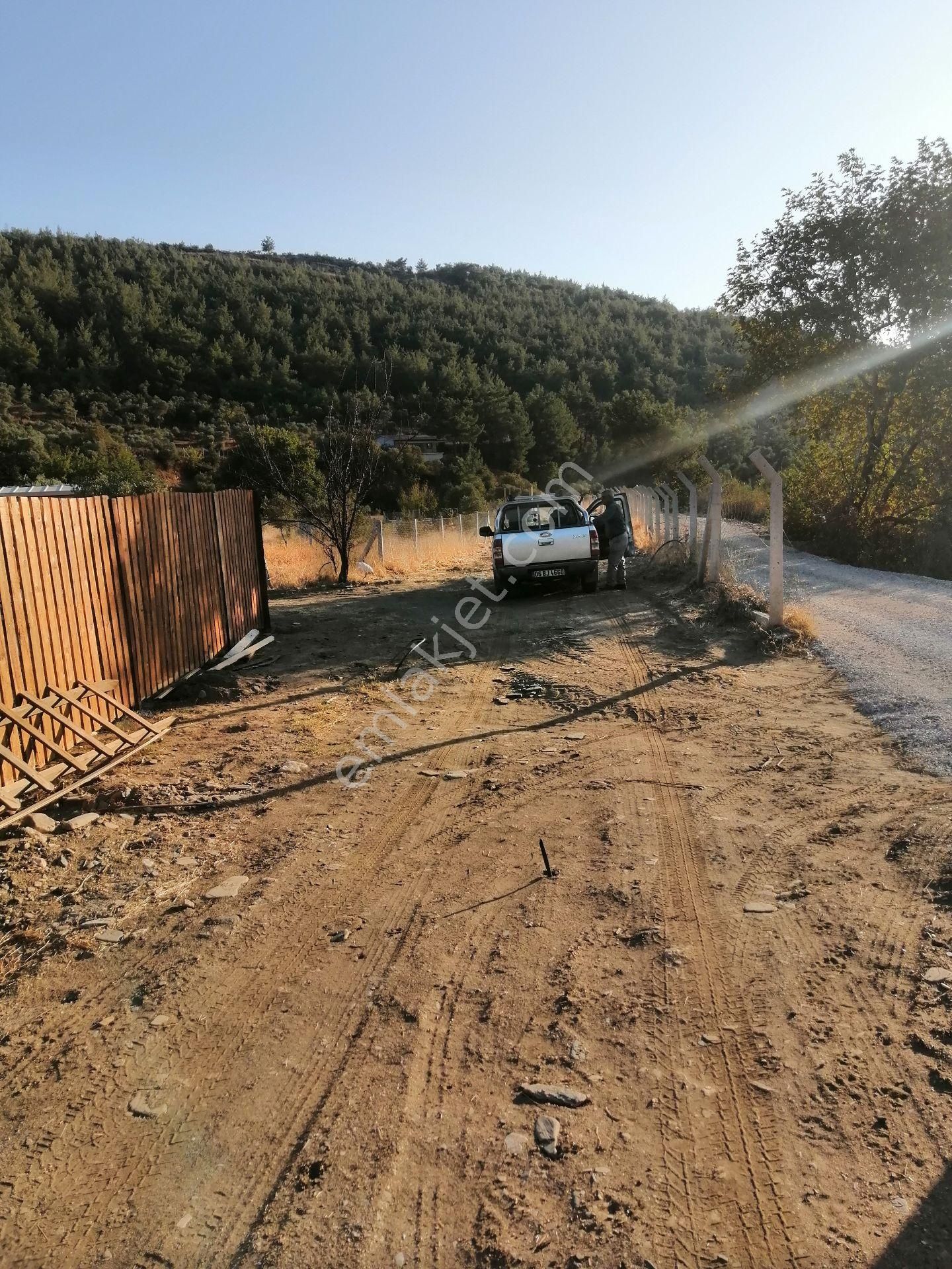 Torbalı Karakızlar Satılık Bağ & Bahçe İzmir Torbalı Gold Emlaktan Satılık Zeytin Bahçesi