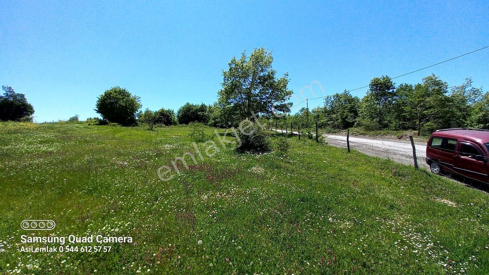 Asil Den Samsun İlkadım Çanakçı Köyü Ata Yoluna Cephe 6,340 M2 Süper Tarla - Görsel 3