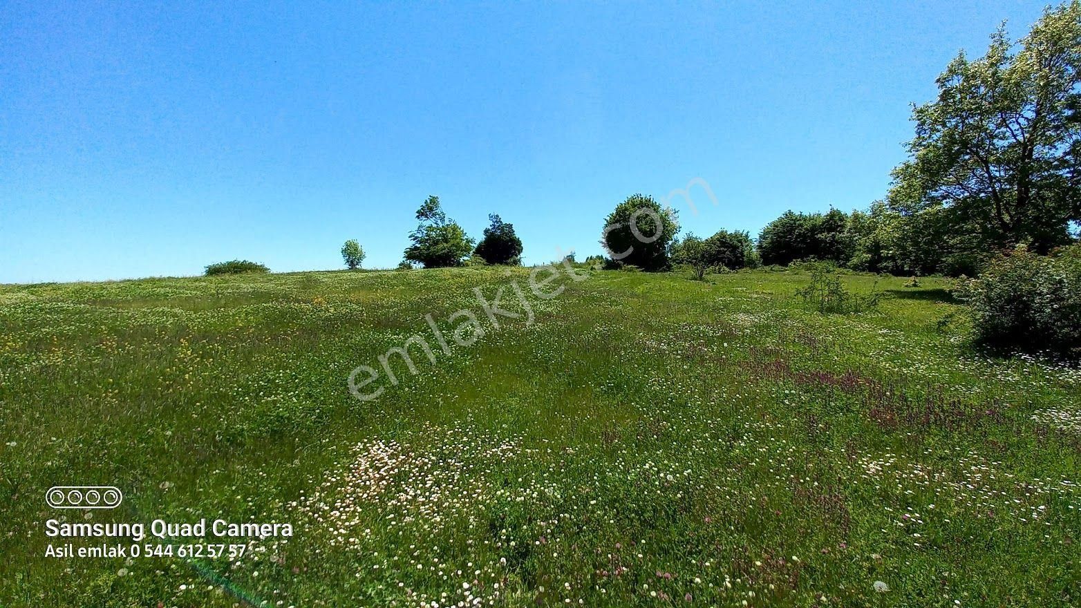 Asil Den Samsun İlkadım Çanakçı Köyü Ata Yoluna Cephe 6,340 M2 Süper Tarla - Görsel 17