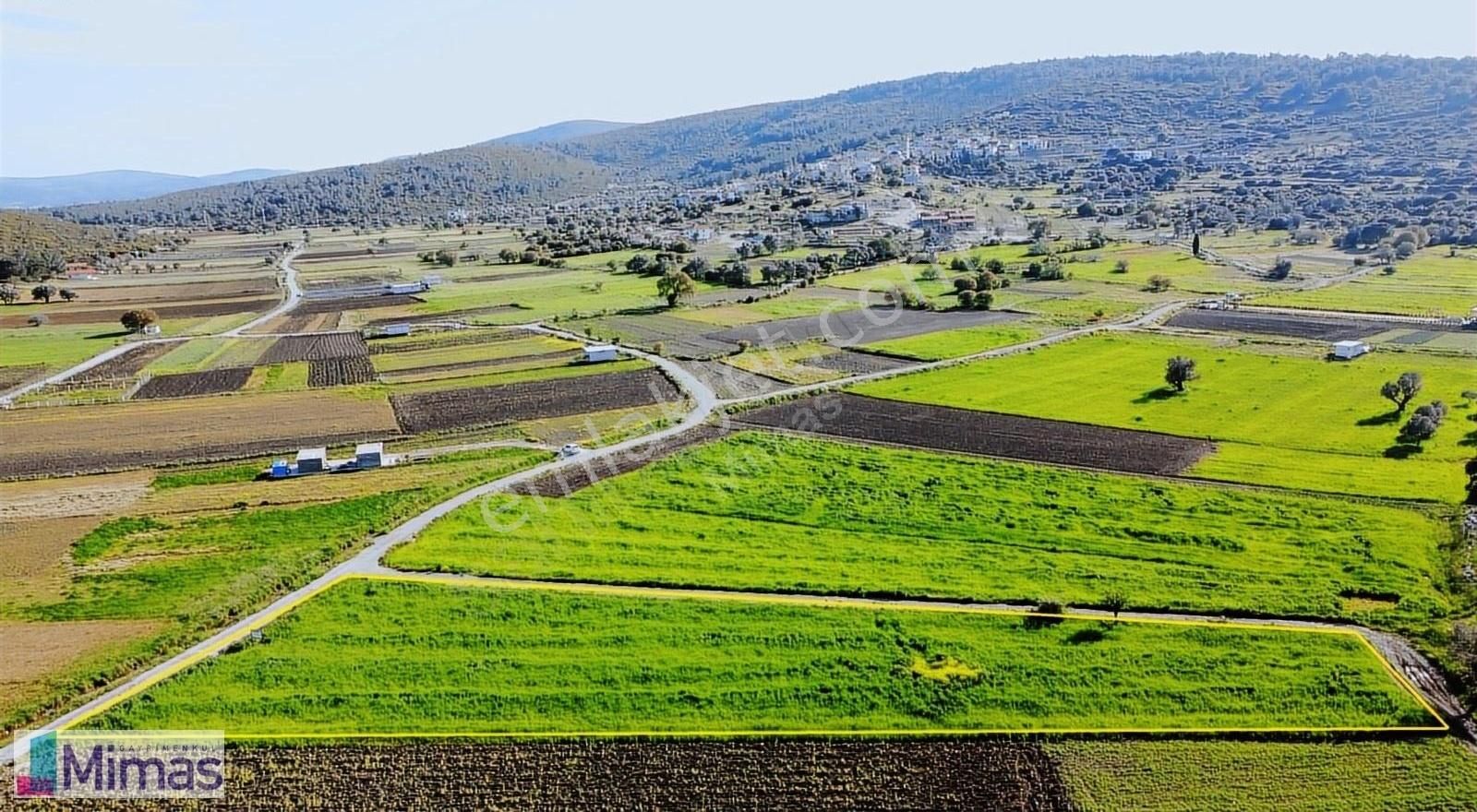 Urla Kadıovacık Satılık Tarla URLA KADIOVACIK KÖYÜNDE RESMİ YOLU MEVCUT, KÖY YERLEŞİK ALANINA 600 M MESAFEDE