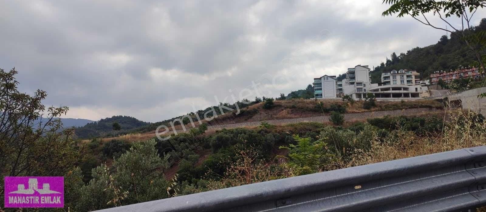 Manastır Emlak'tan Satılık 12.256 M2 Zeytinlik 19.000.000 Tl - Görsel 5