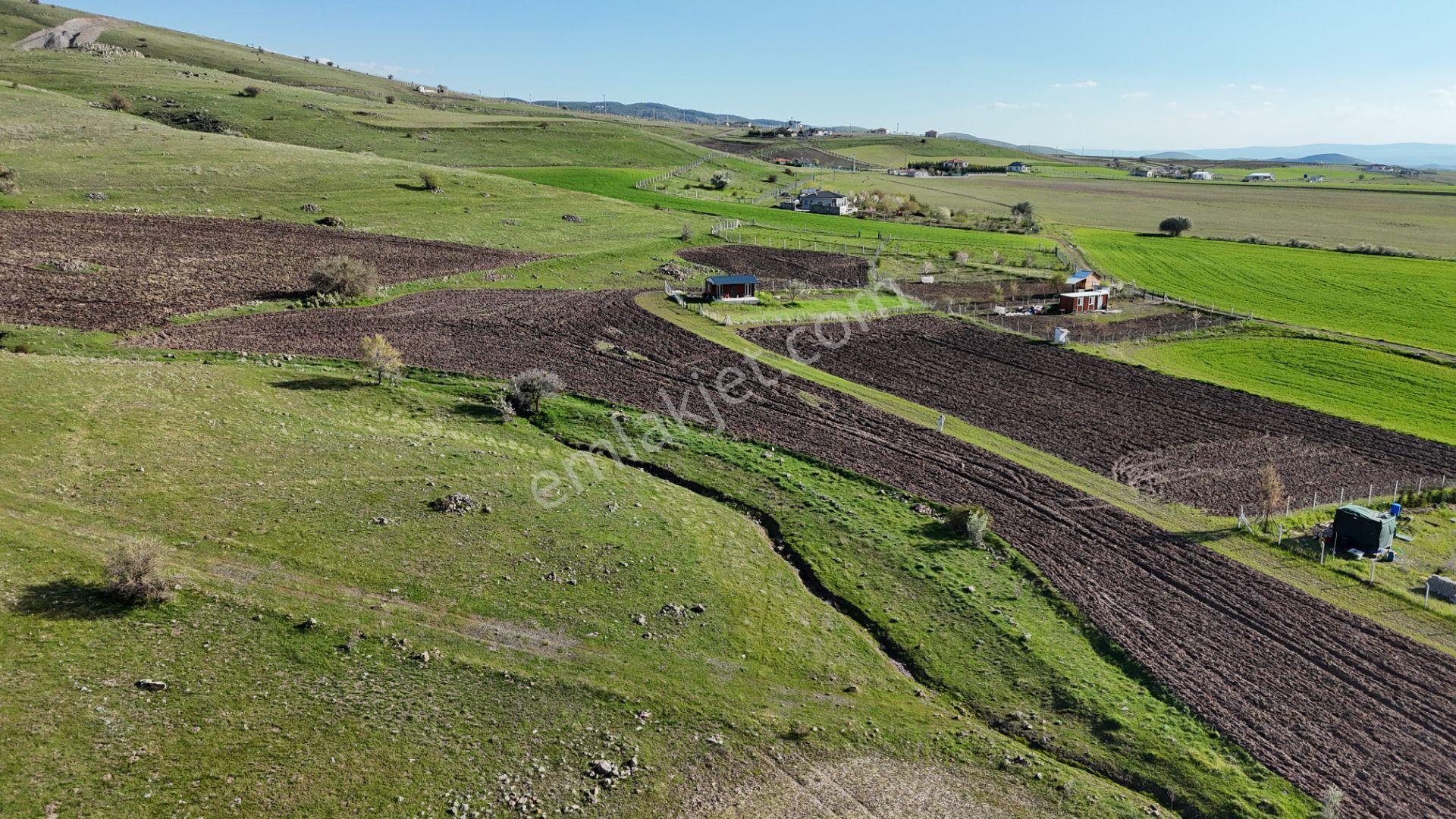 Beynamda 2623 M2 Tek Tapu Arsa 0,30 Emsal Karadeniz Emlaktan - Görsel 28