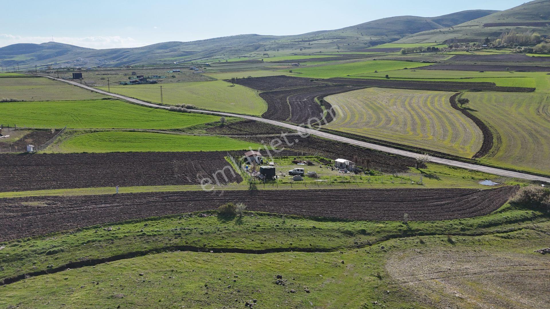 Beynamda 2623 M2 Tek Tapu Arsa 0,30 Emsal Karadeniz Emlaktan - Görsel 30