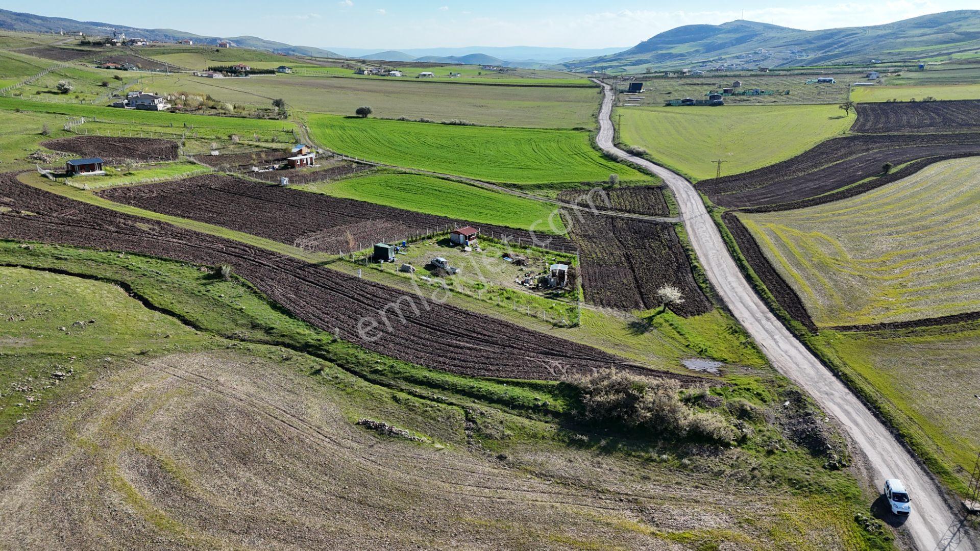 Beynamda 2623 M2 Tek Tapu Arsa 0,30 Emsal Karadeniz Emlaktan - Görsel 18