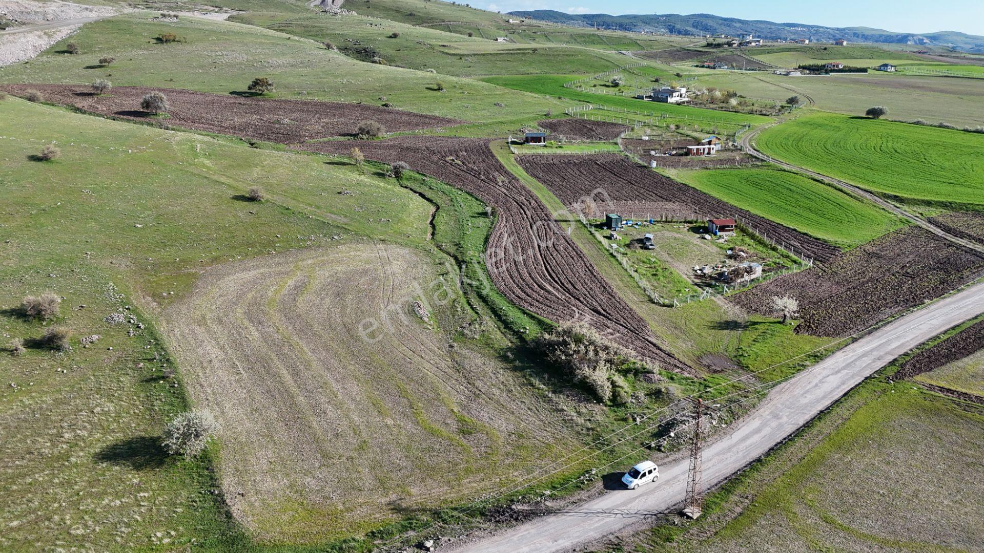 Beynamda 2623 M2 Tek Tapu Arsa 0,30 Emsal Karadeniz Emlaktan - Görsel 17