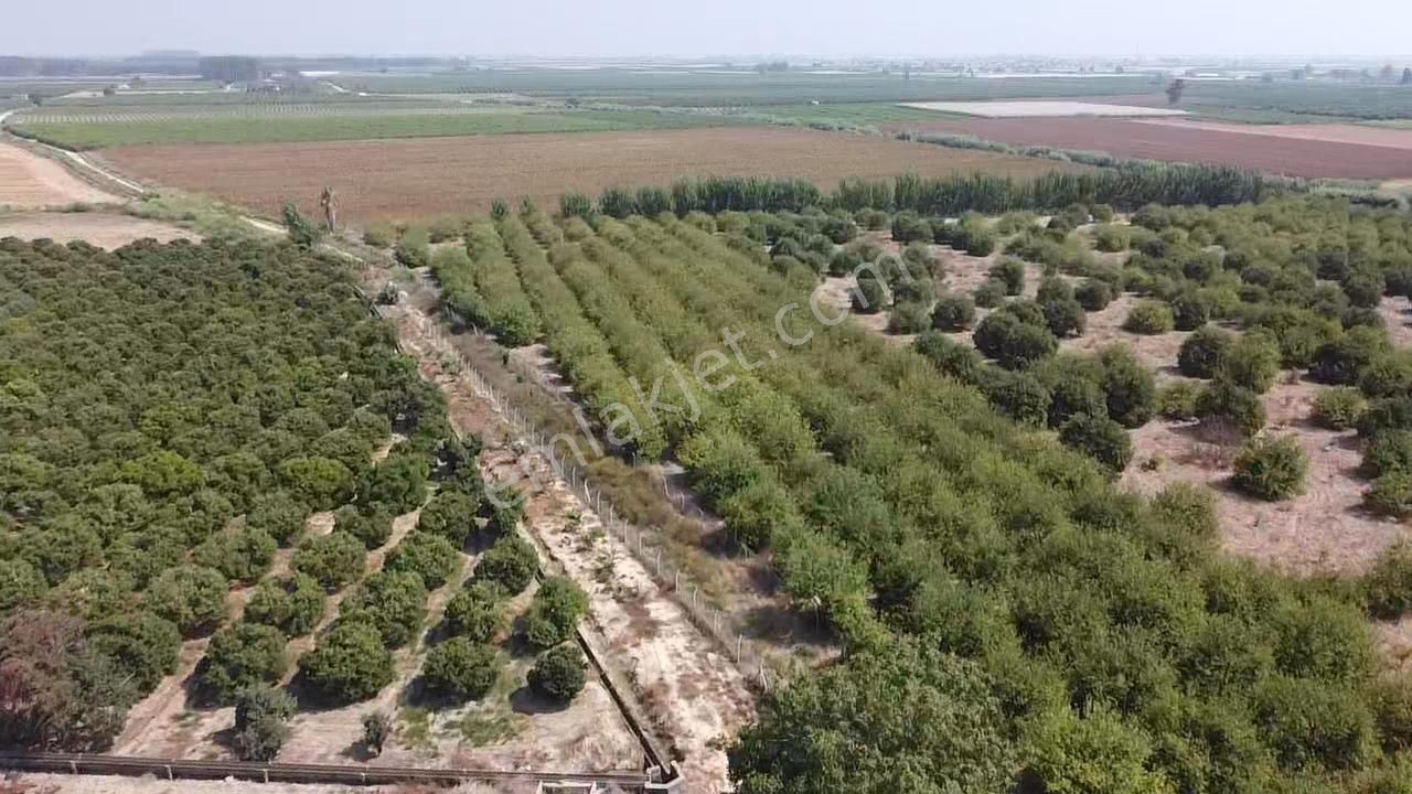 Bağlarbaşı Mevkii 22.500 M2 Harika Konum Bahçe - Görsel 6