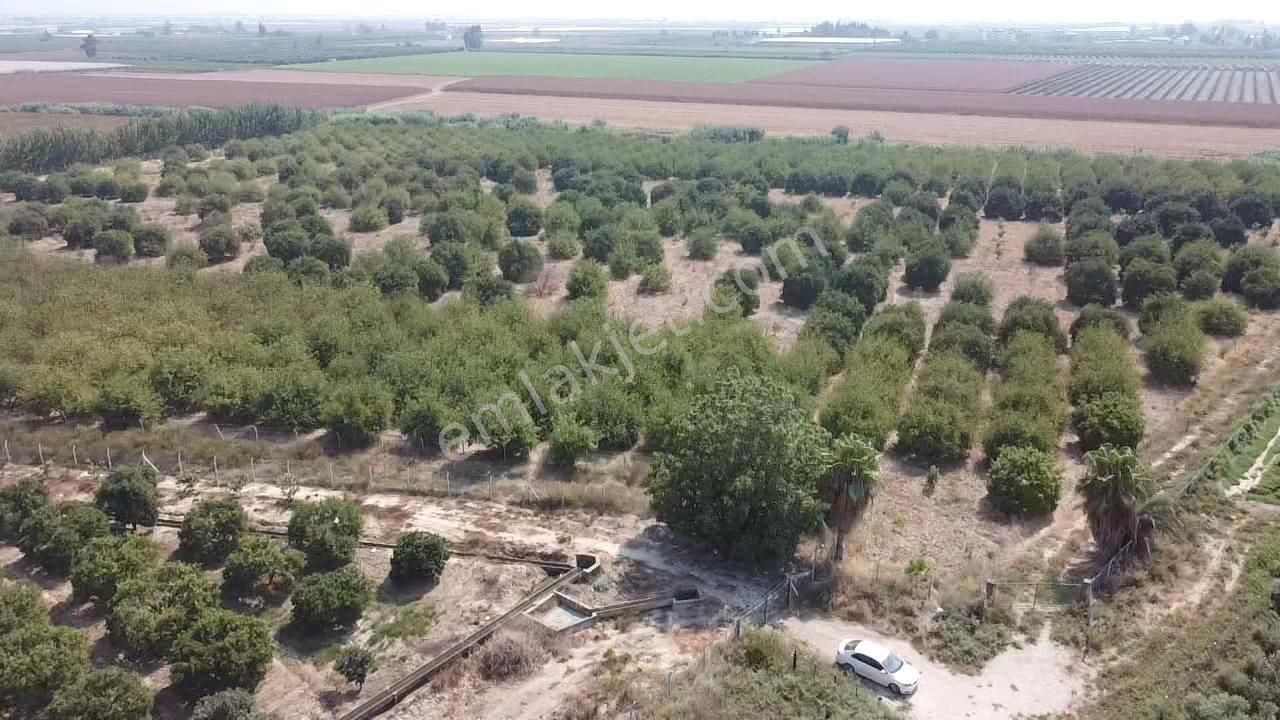 Bağlarbaşı Mevkii 22.500 M2 Harika Konum Bahçe - Görsel 7