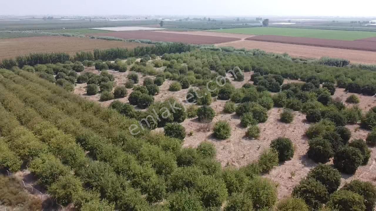 Bağlarbaşı Mevkii 22.500 M2 Harika Konum Bahçe - Görsel 3