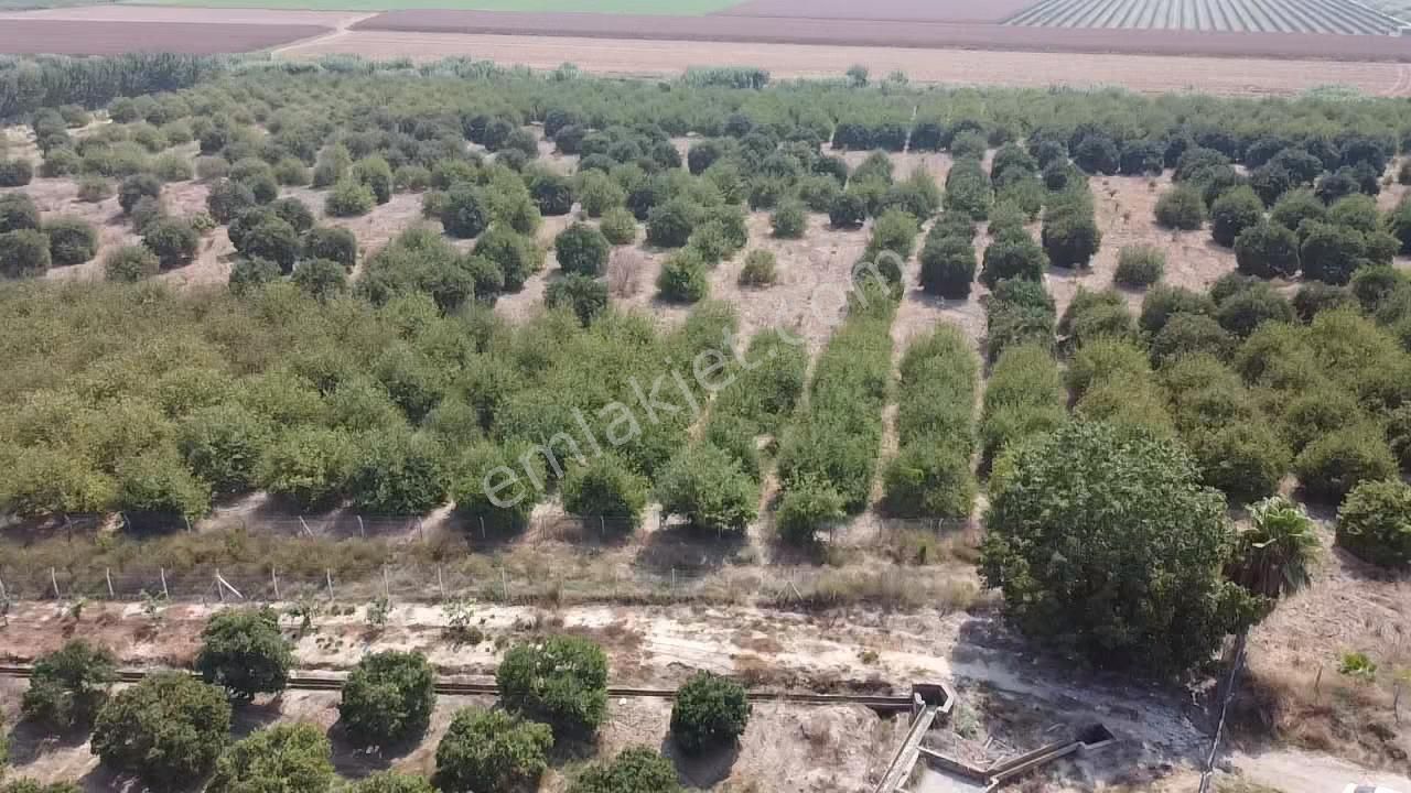 Bağlarbaşı Mevkii 22.500 M2 Harika Konum Bahçe - Görsel 10
