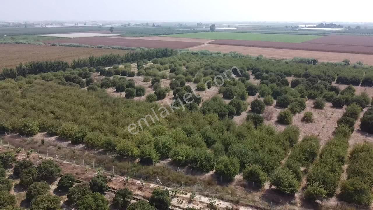 Bağlarbaşı Mevkii 22.500 M2 Harika Konum Bahçe - Görsel 11