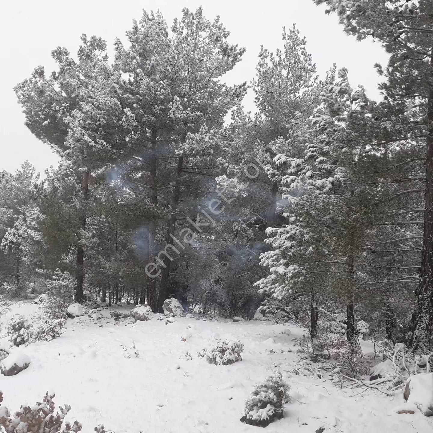 Pozantı Kar Emlaktan Alpu Yaylasında Satılık 475m2 Arsa - Görsel 6