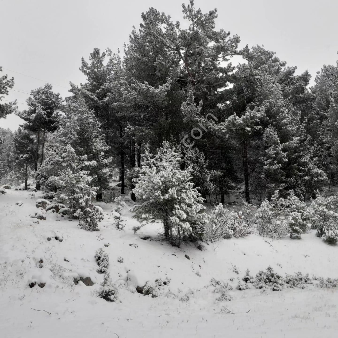 Pozantı Kar Emlaktan Alpu Yaylasında Satılık 475m2 Arsa - Görsel 9