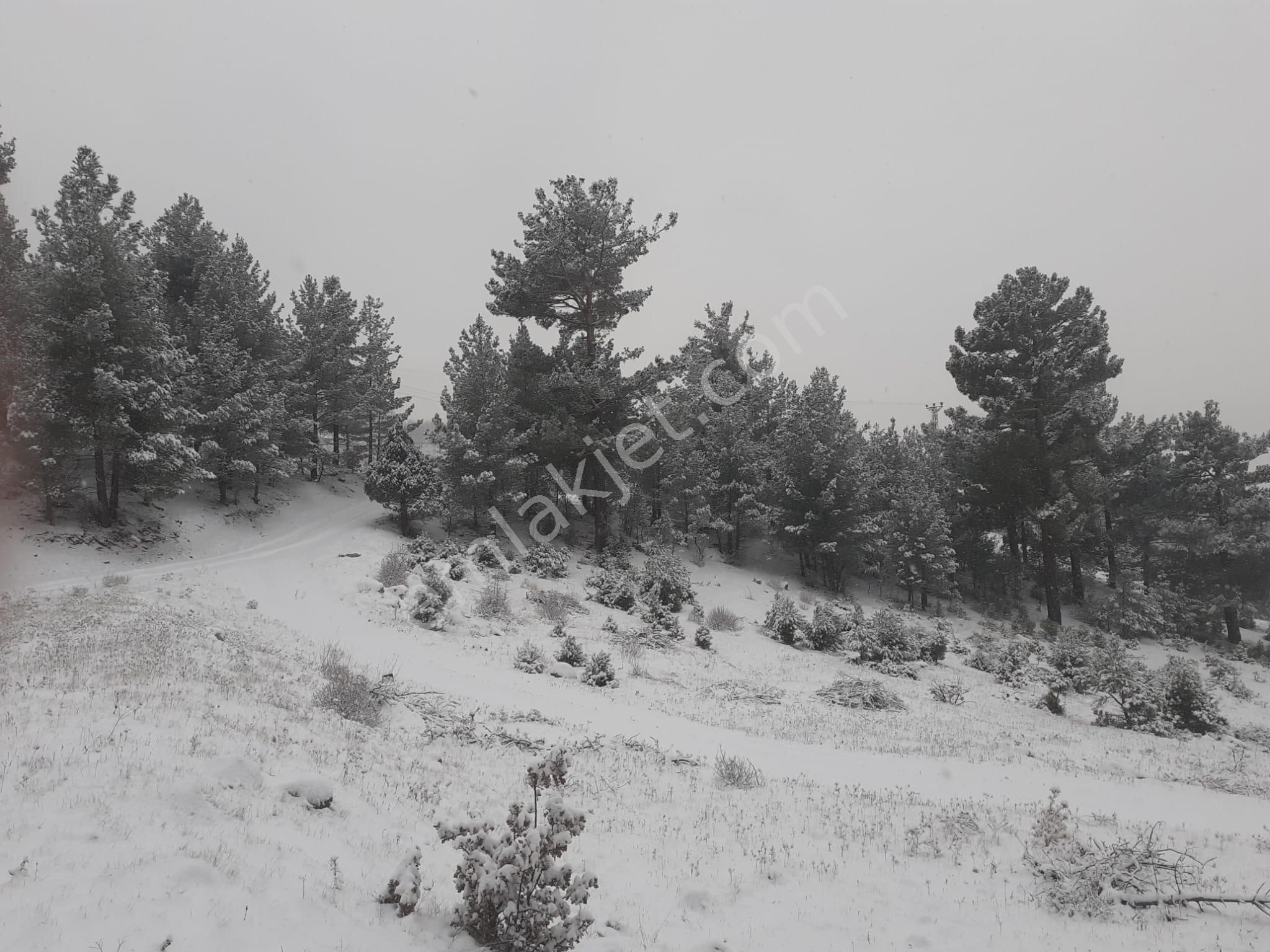 Pozantı Kar Emlaktan Alpu Yaylasında Satılık 475m2 Arsa - Görsel 5