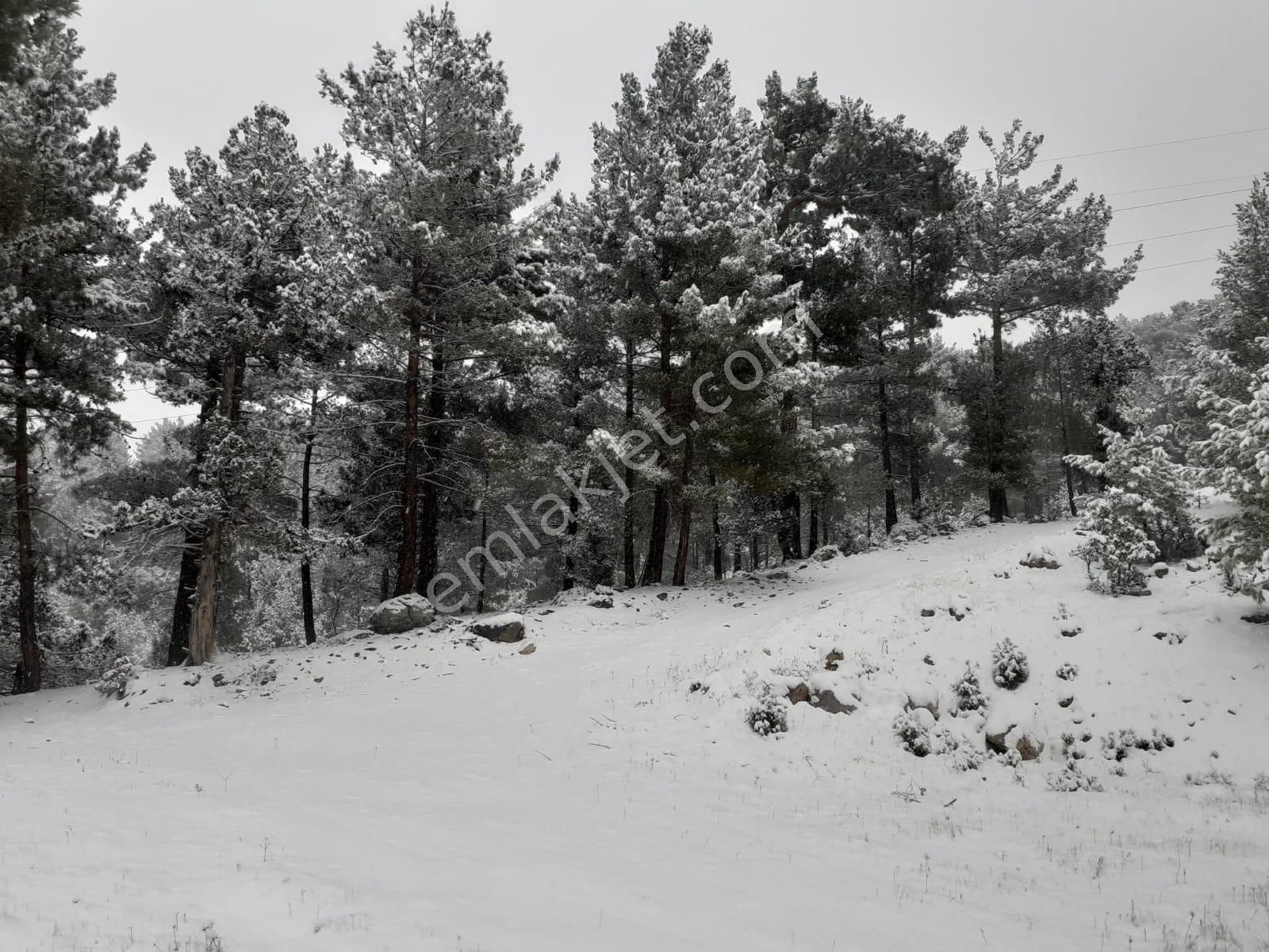 Pozantı Kar Emlaktan Alpu Yaylasında Satılık 475m2 Arsa - Görsel 2