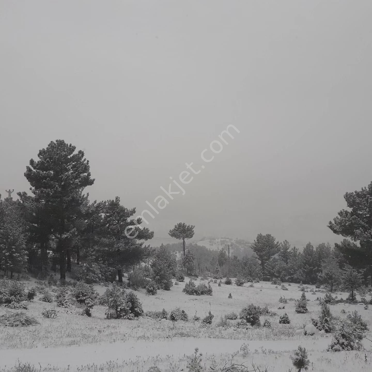 Pozantı Kar Emlaktan Alpu Yaylasında Satılık 475m2 Arsa - Görsel 10