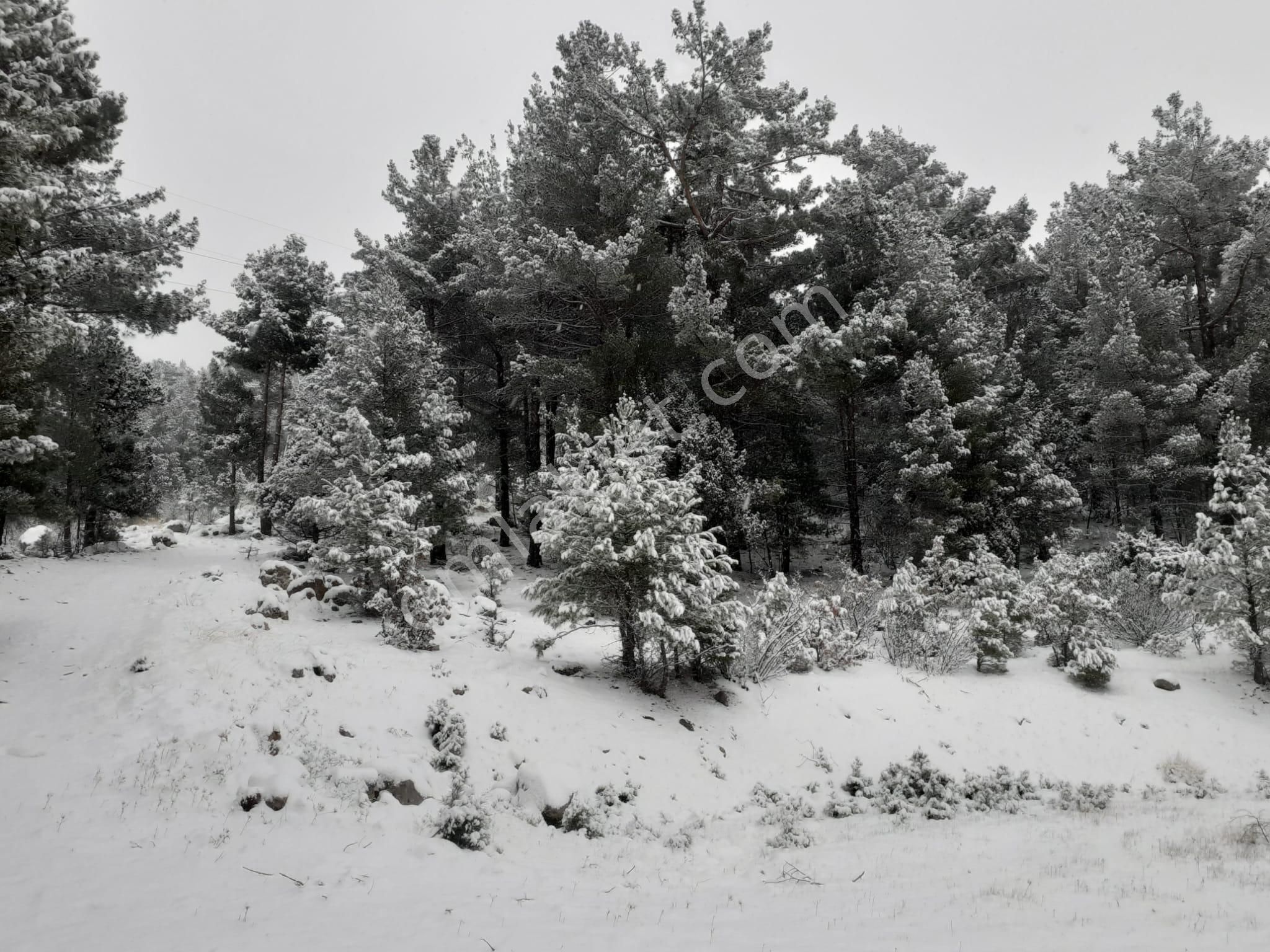 Pozantı Kar Emlaktan Alpu Yaylasında Satılık 475m2 Arsa - Görsel 4