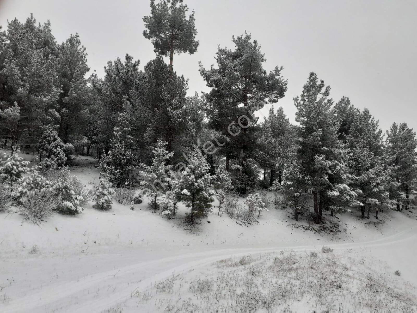 Pozantı Kar Emlaktan Alpu Yaylasında Satılık 475m2 Arsa