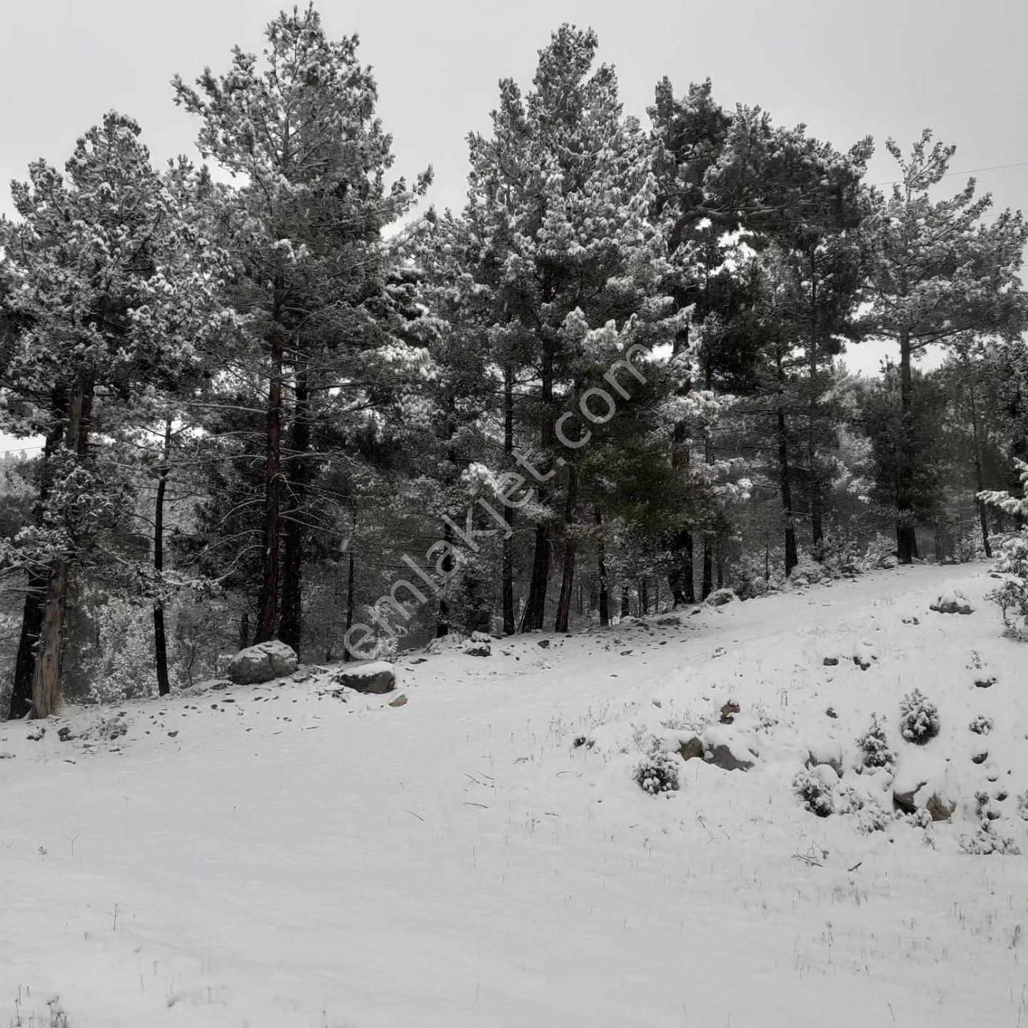 Pozantı Kar Emlaktan Alpu Yaylasında Satılık 475m2 Arsa - Görsel 11