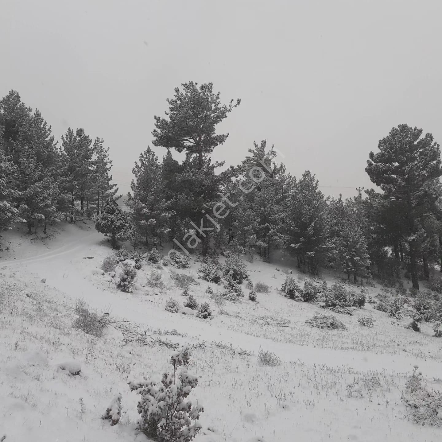 Pozantı Kar Emlaktan Alpu Yaylasında Satılık 475m2 Arsa - Görsel 8
