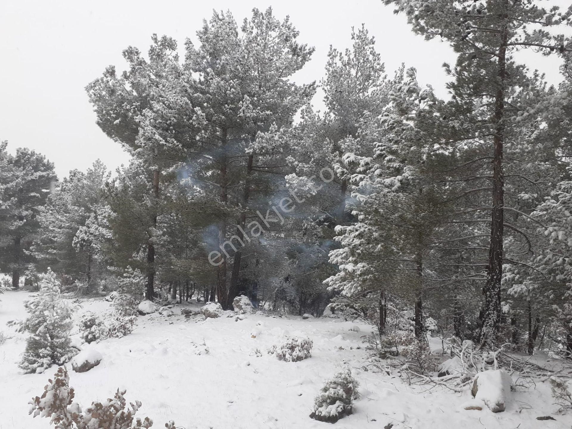 Pozantı Kar Emlaktan Alpu Yaylasında Satılık 475m2 Arsa - Görsel 7