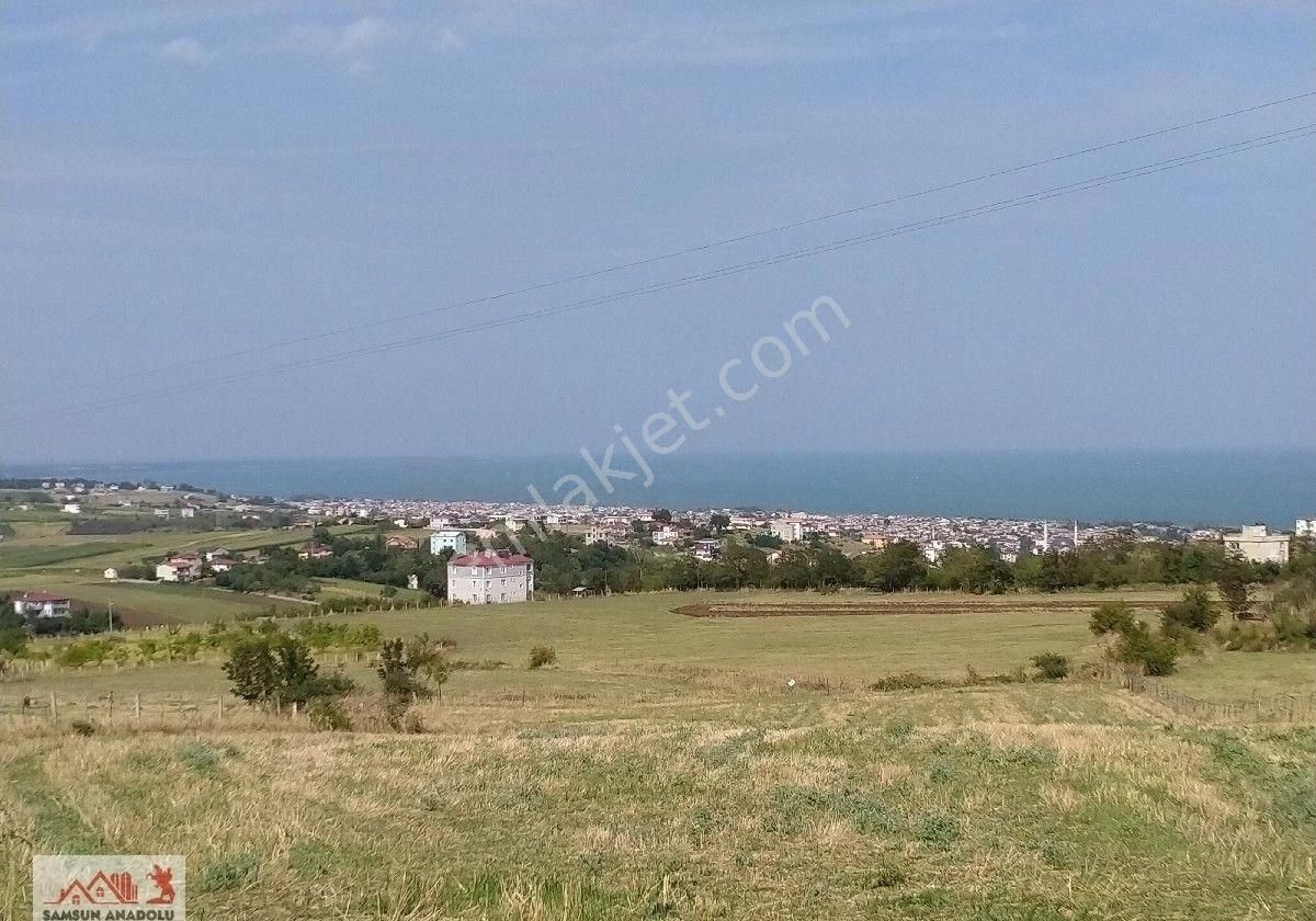 Atakum Güzelyurt Satılık Tarla Anadolu'dan Atakum Çatalçam'da İmar Uygulamasında Panaromik Deniz Manzaralı Satılık Tarla Arsa