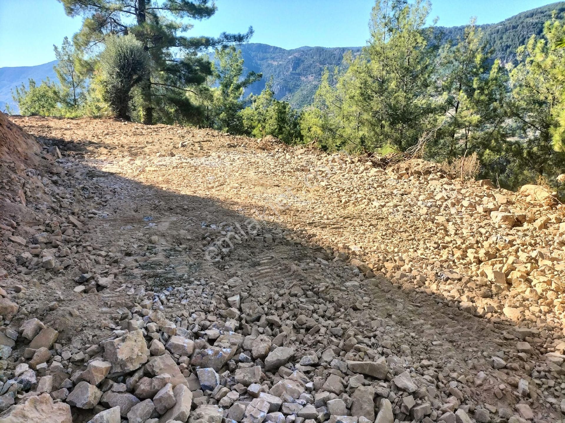 Alanya Türktaş Satılık Tarla Alanya Türktaş mahallesi Satılık Tarla