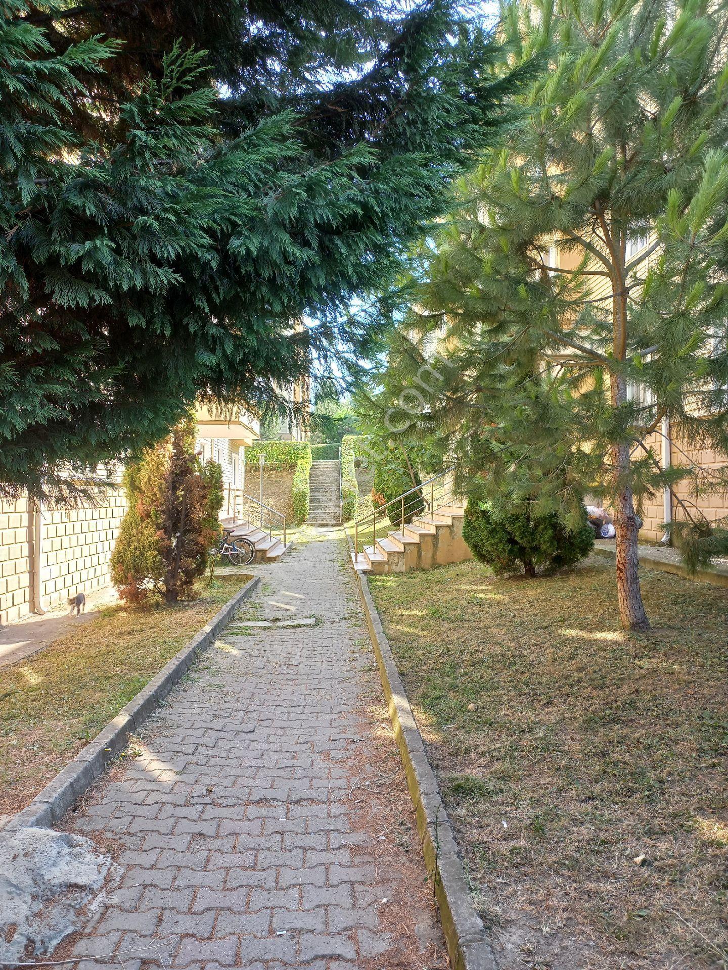 Sahibinden 3+1 Site İçi Kiralık Daire - Görsel 12