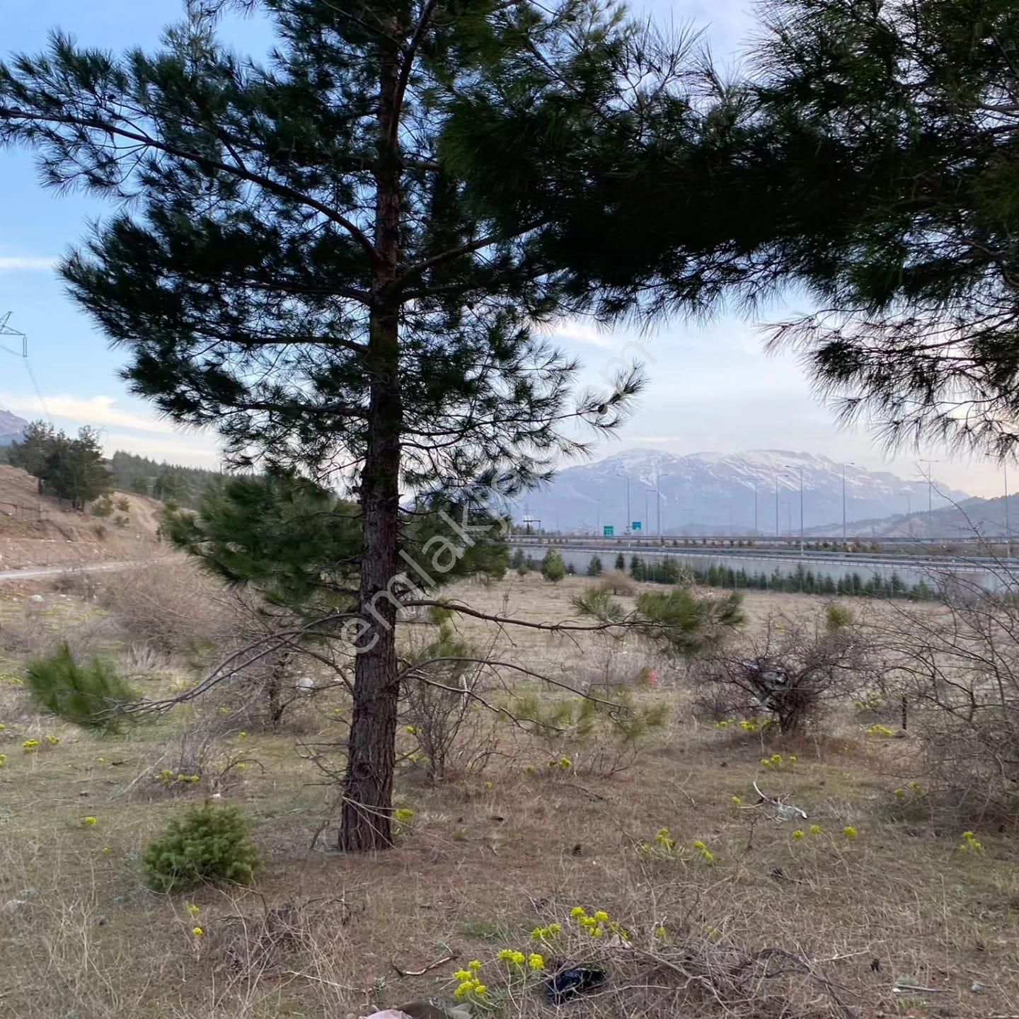 Pozantı Kar Emlaktan Alpu Yaylasında Satılık 550 M2 Arsa - Görsel 7