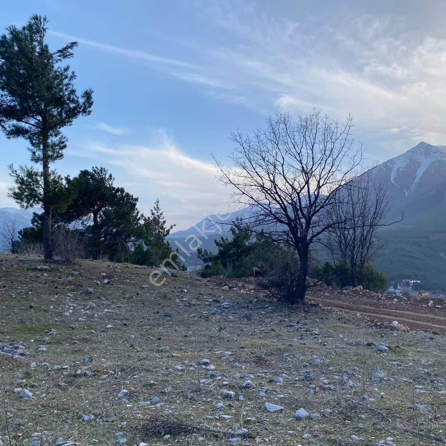 Pozantı Kar Emlaktan Alpu Yaylasında Satılık 550 M2 Arsa - Görsel 4