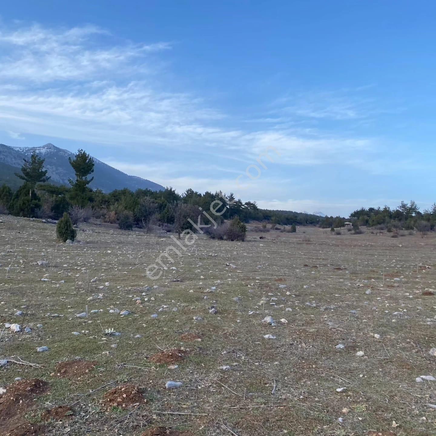 Pozantı Kar Emlaktan Alpu Yaylasında Satılık 550 M2 Arsa - Görsel 9