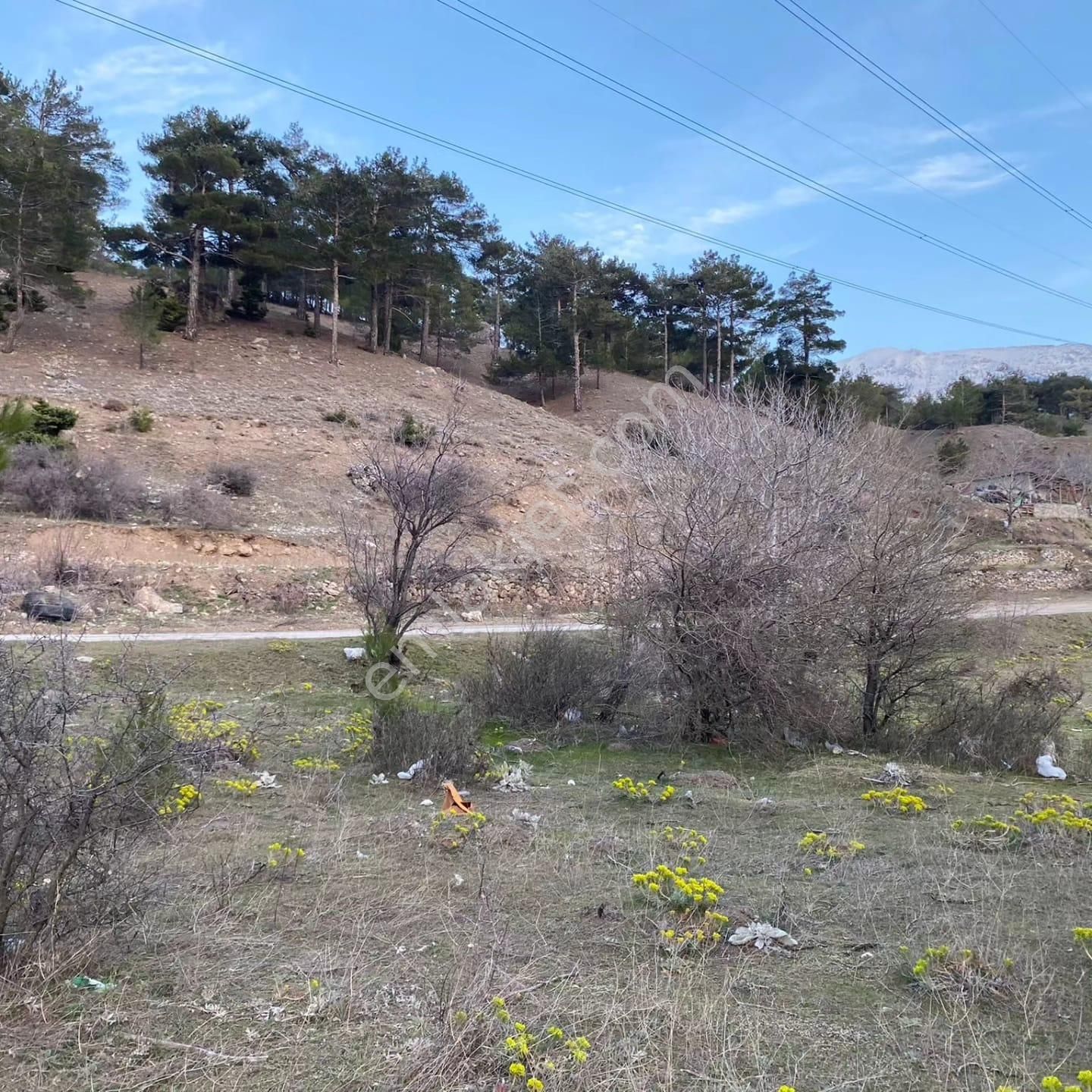 Pozantı Kar Emlaktan Alpu Yaylasında Satılık 550 M2 Arsa - Görsel 3