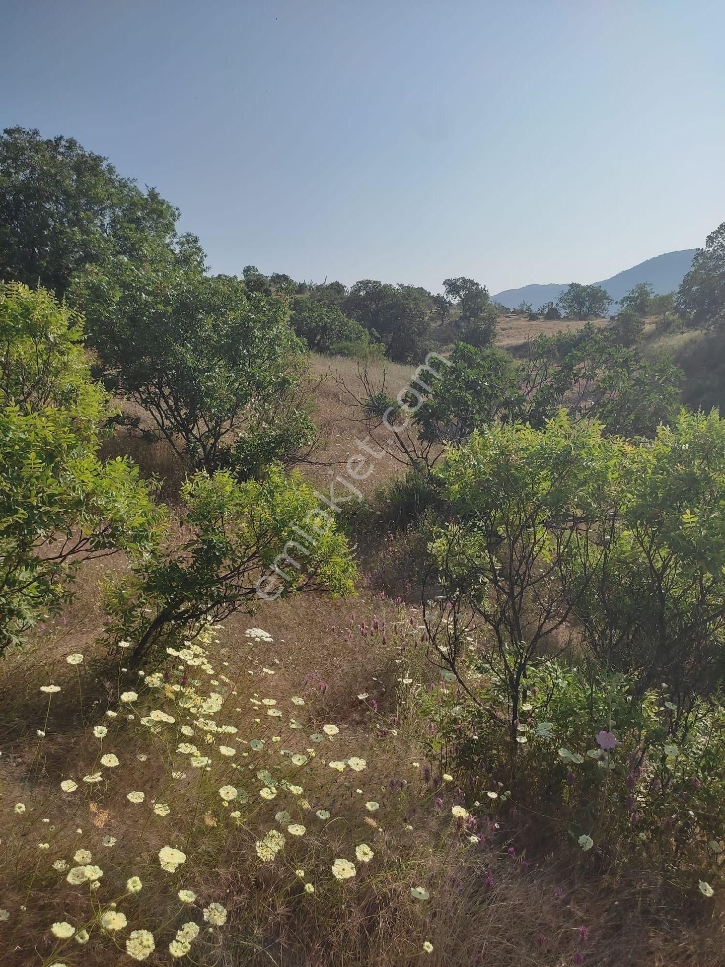 Demirci Mezitler Satılık Tarla Manisa Demirciler Ges Bölgesi İçerisinde 7009 M2 Satılık Arazi Tarla