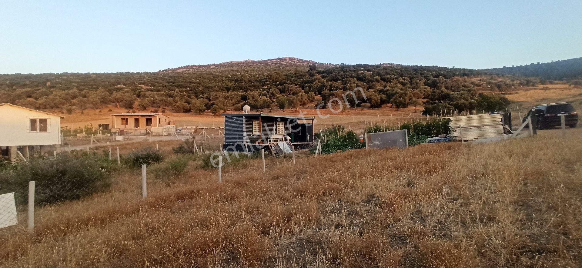 Menderes Çileme'de Muhteşem Bahce - Görsel 6