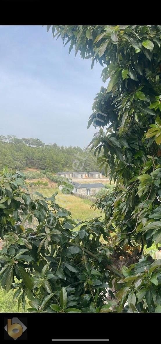 Fethiye Yanıklar Yatırımlık Tarla - Görsel 5