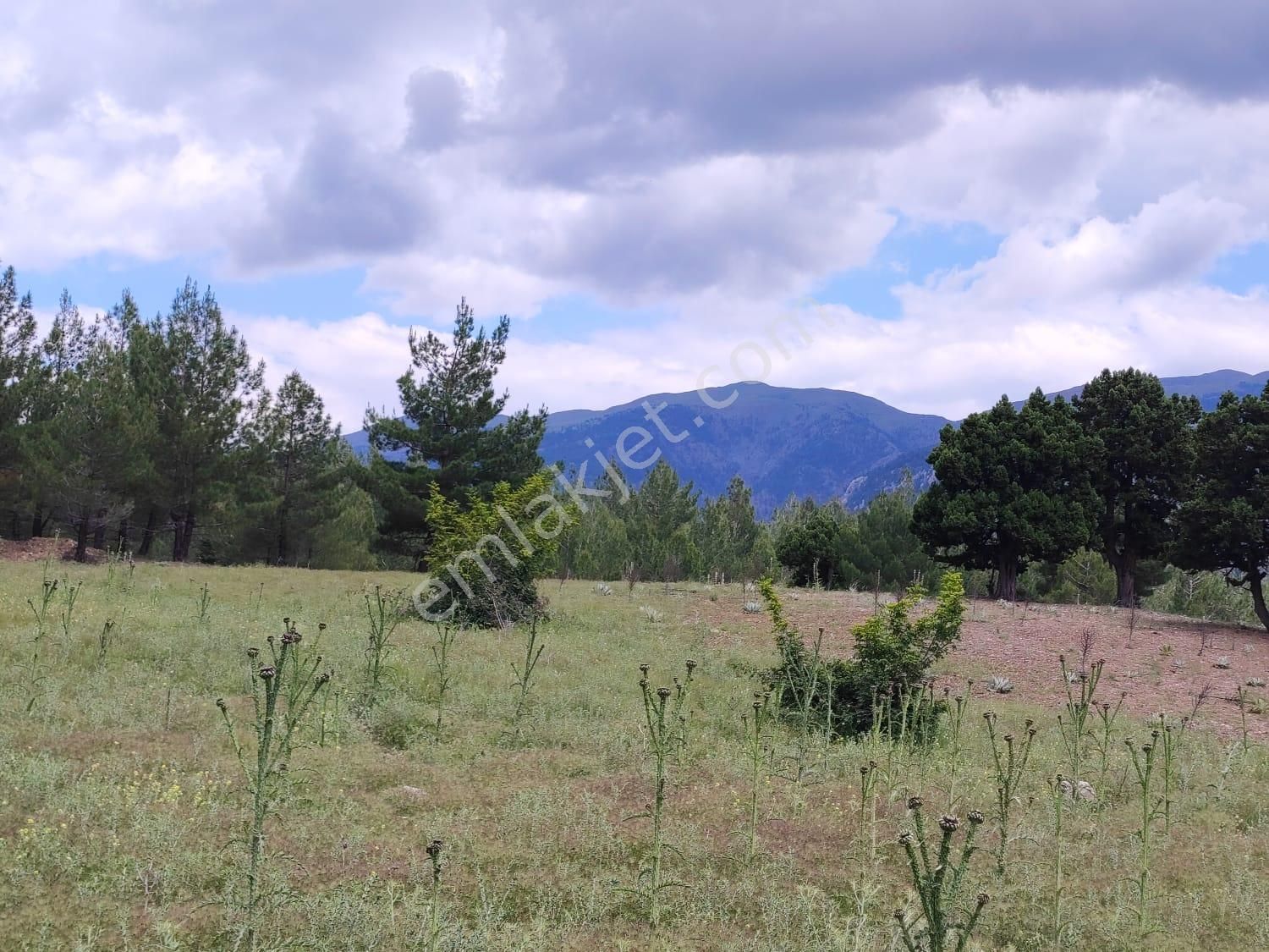Pozatı Kar Emlaktan Alpu Yaylasında Satılık 500m2 Arsa - Görsel 8