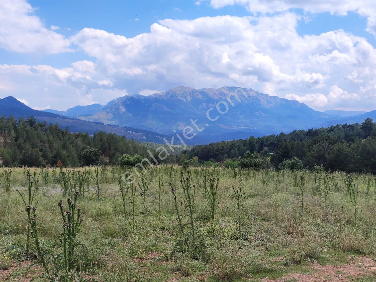 Pozatı Kar Emlaktan Alpu Yaylasında Satılık 500m2 Arsa - Görsel 6