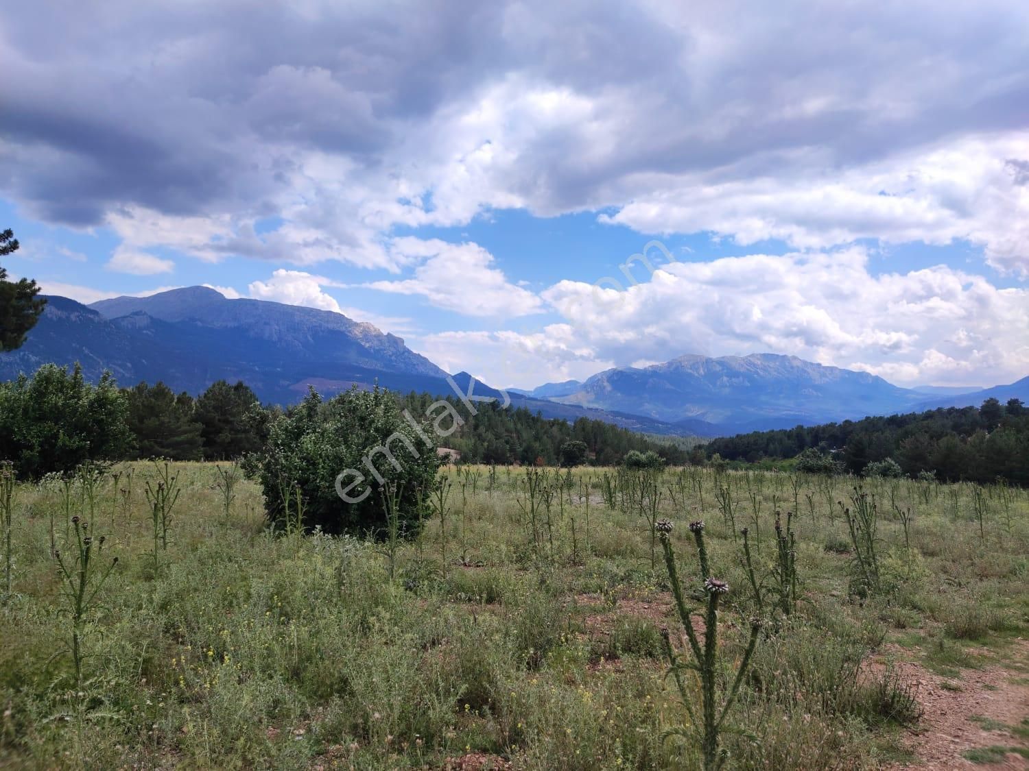Pozatı Kar Emlaktan Alpu Yaylasında Satılık 500m2 Arsa