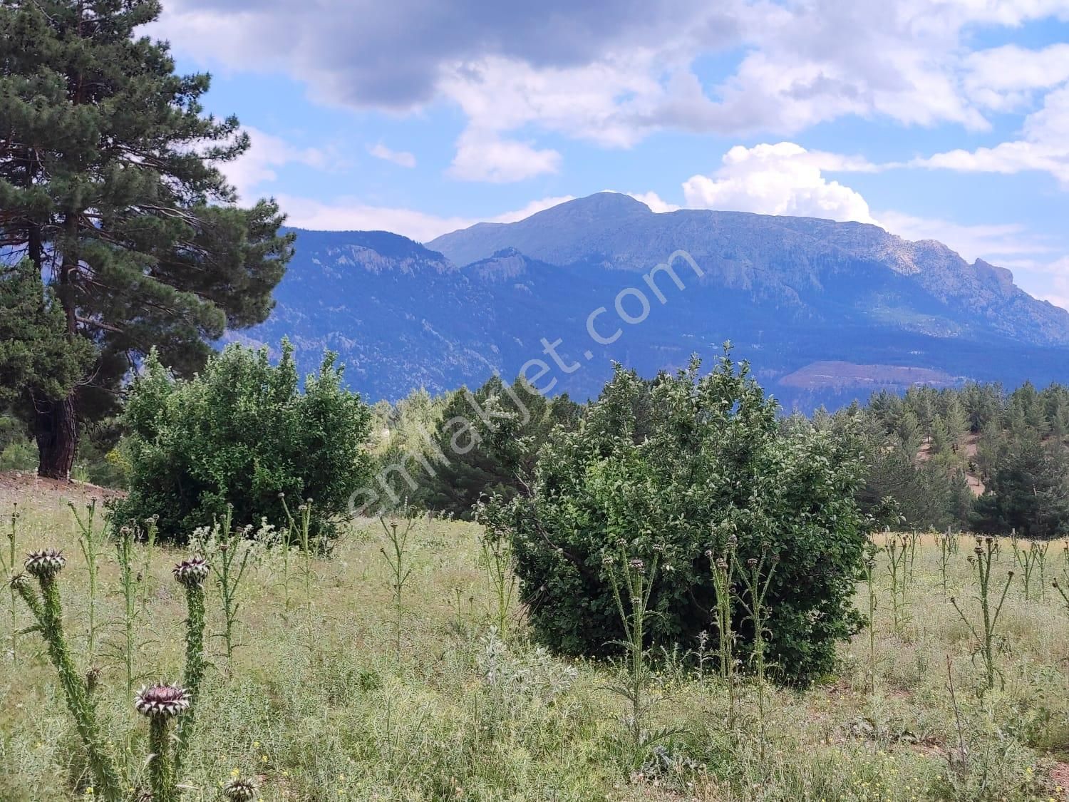 Pozatı Kar Emlaktan Alpu Yaylasında Satılık 500m2 Arsa - Görsel 7