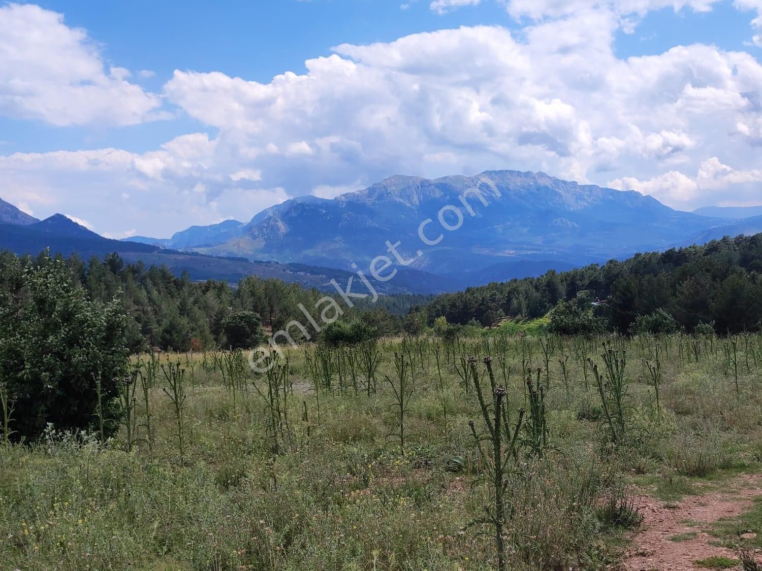 Pozatı Kar Emlaktan Alpu Yaylasında Satılık 500m2 Arsa - Görsel 11
