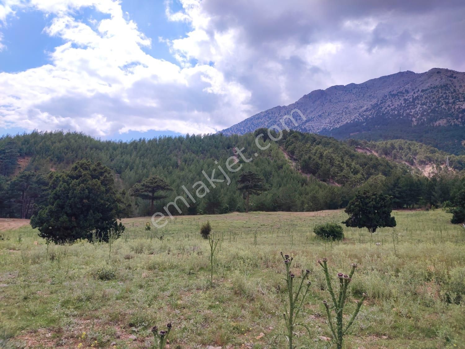 Pozatı Kar Emlaktan Alpu Yaylasında Satılık 500m2 Arsa - Görsel 5