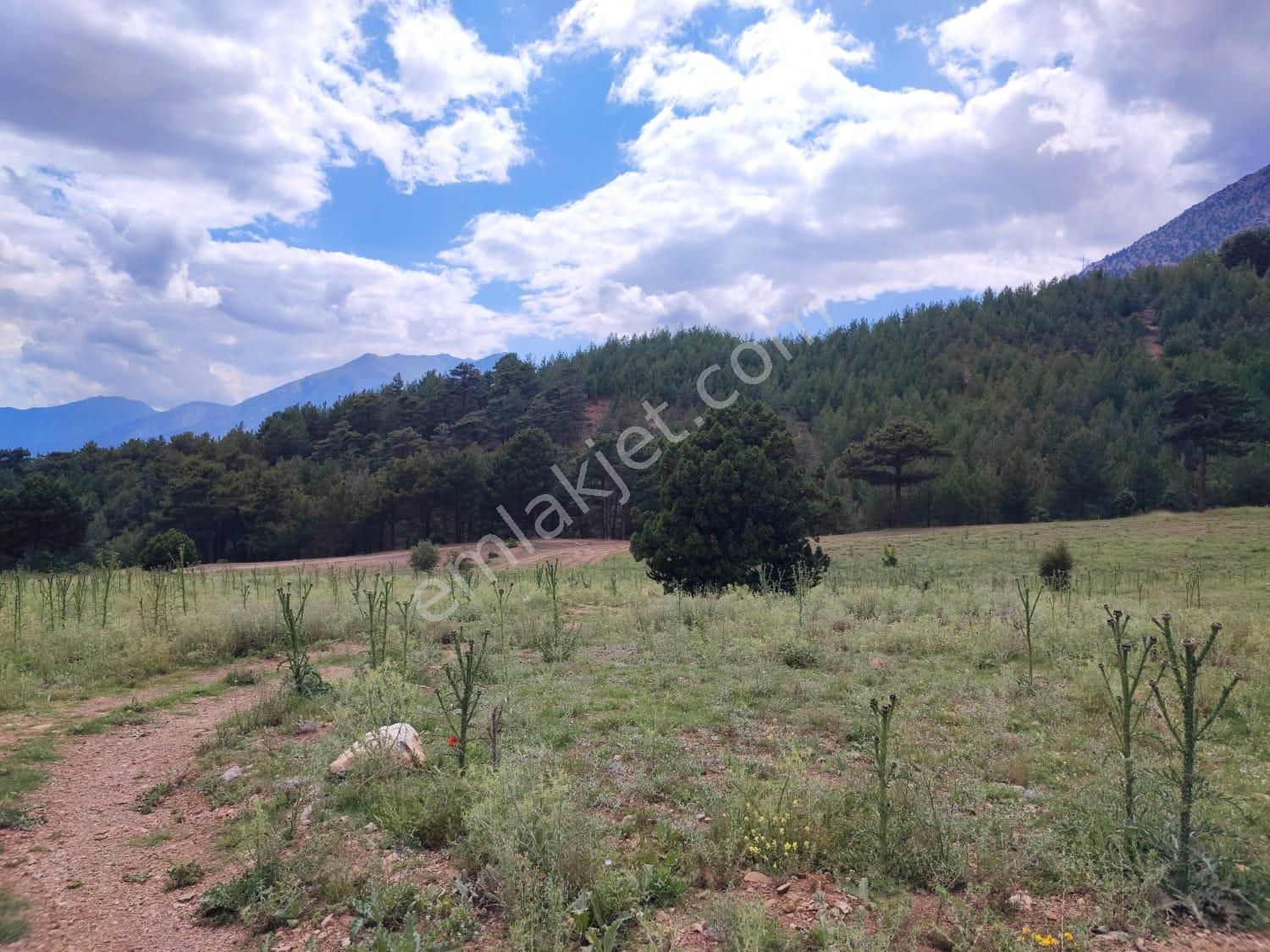 Pozatı Kar Emlaktan Alpu Yaylasında Satılık 500m2 Arsa - Görsel 2
