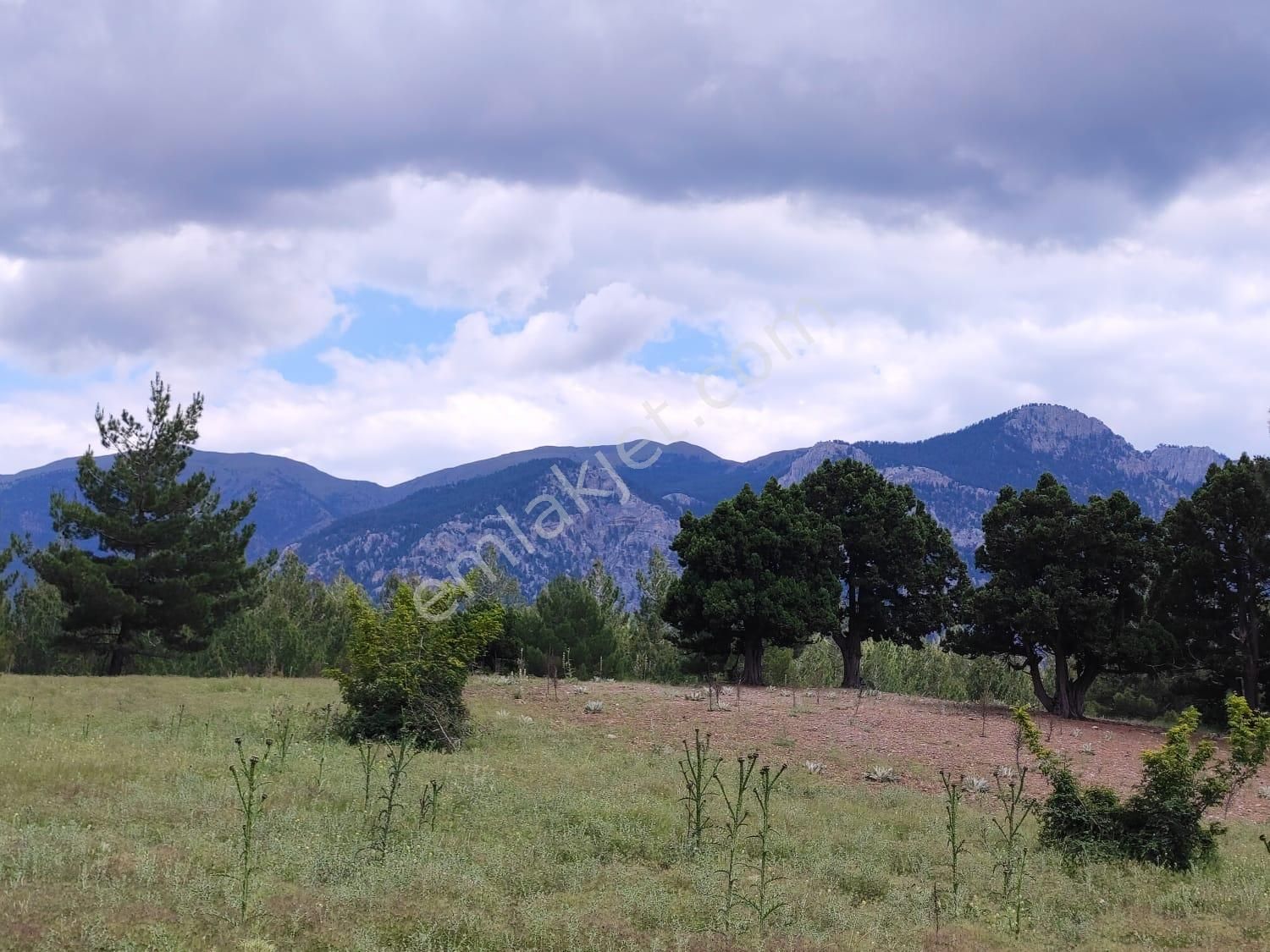 Pozatı Kar Emlaktan Alpu Yaylasında Satılık 500m2 Arsa - Görsel 10