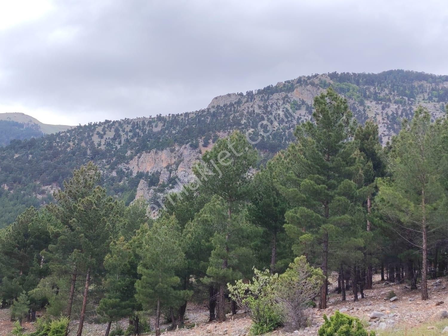 Pozantı Kar Emlaktan Bozkırlı Mevkiinde Satılık 450m2 Arsa