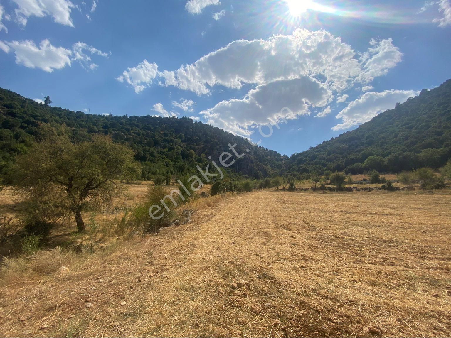 Burdur Ağlasun Hisarköy Satılık Yatırımlık Arazi 📌çakır Emlak - Görsel 13