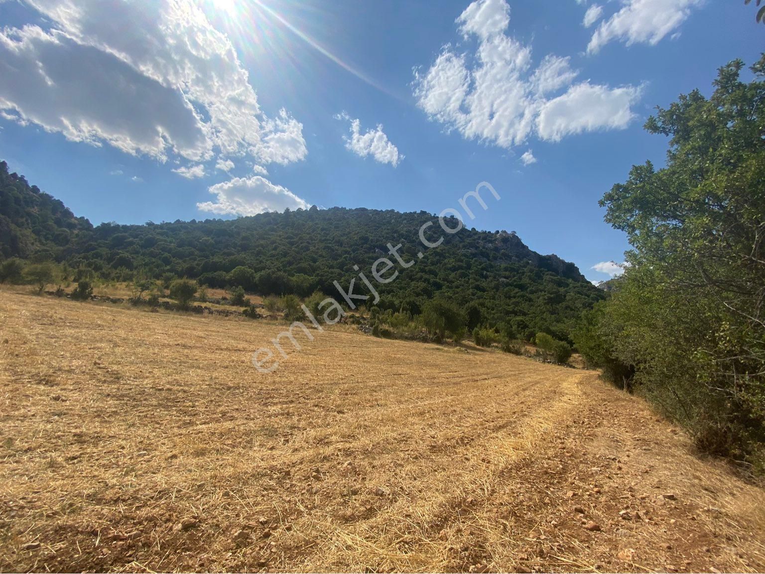 Burdur Ağlasun Hisarköy Satılık Yatırımlık Arazi 📌çakır Emlak - Görsel 10