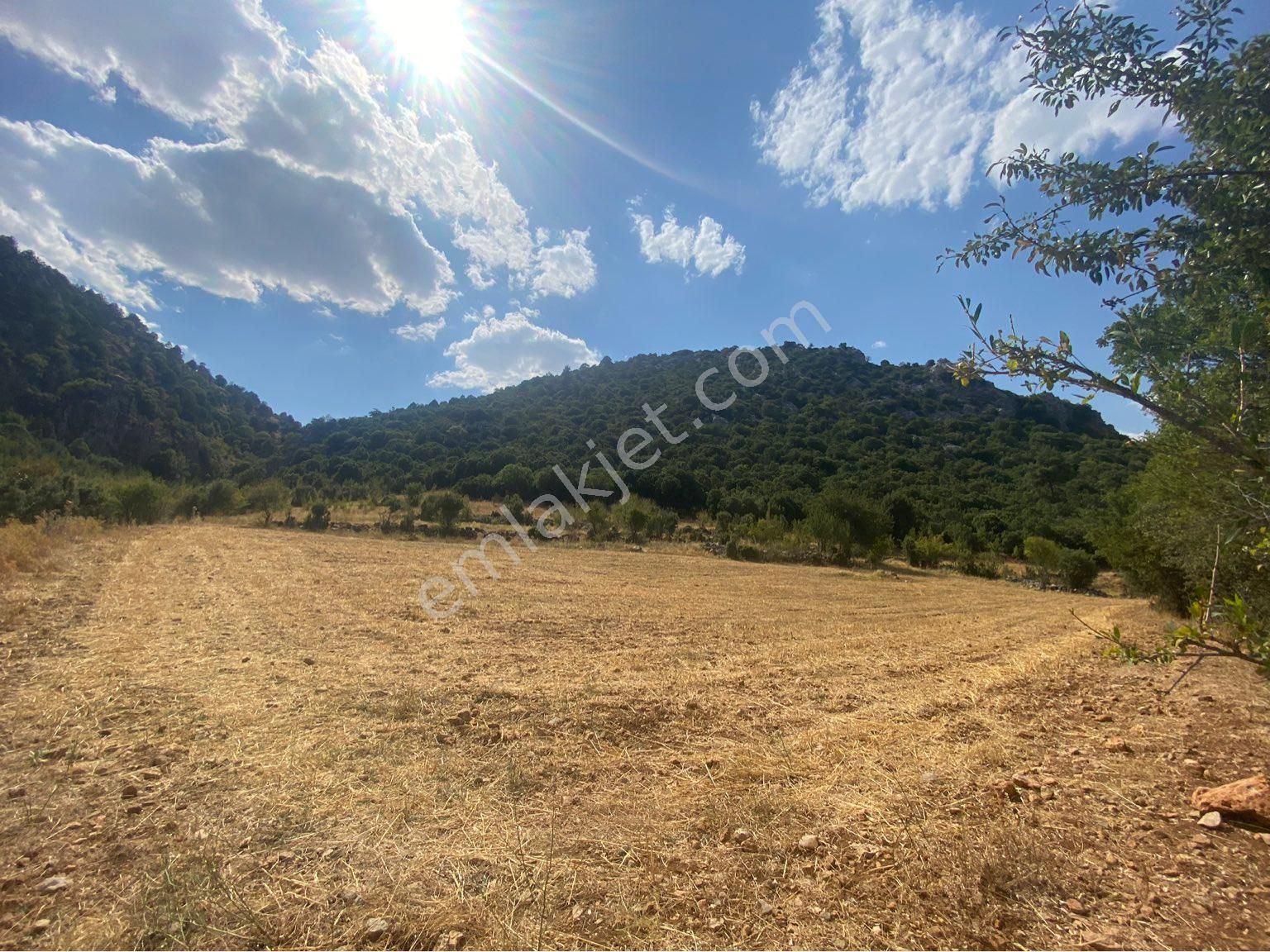 Burdur Ağlasun Hisarköy Satılık Yatırımlık Arazi 📌çakır Emlak - Görsel 12