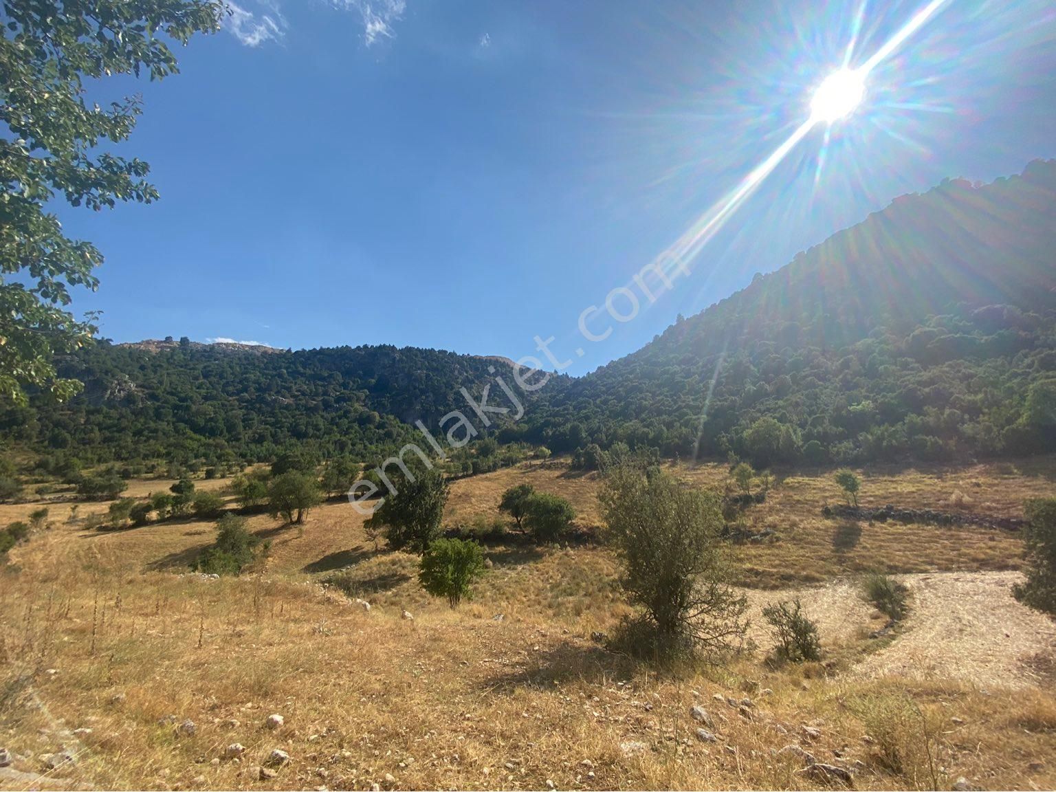 Burdur Ağlasun Hisarköy Satılık Yatırımlık Arazi 📌çakır Emlak - Görsel 25