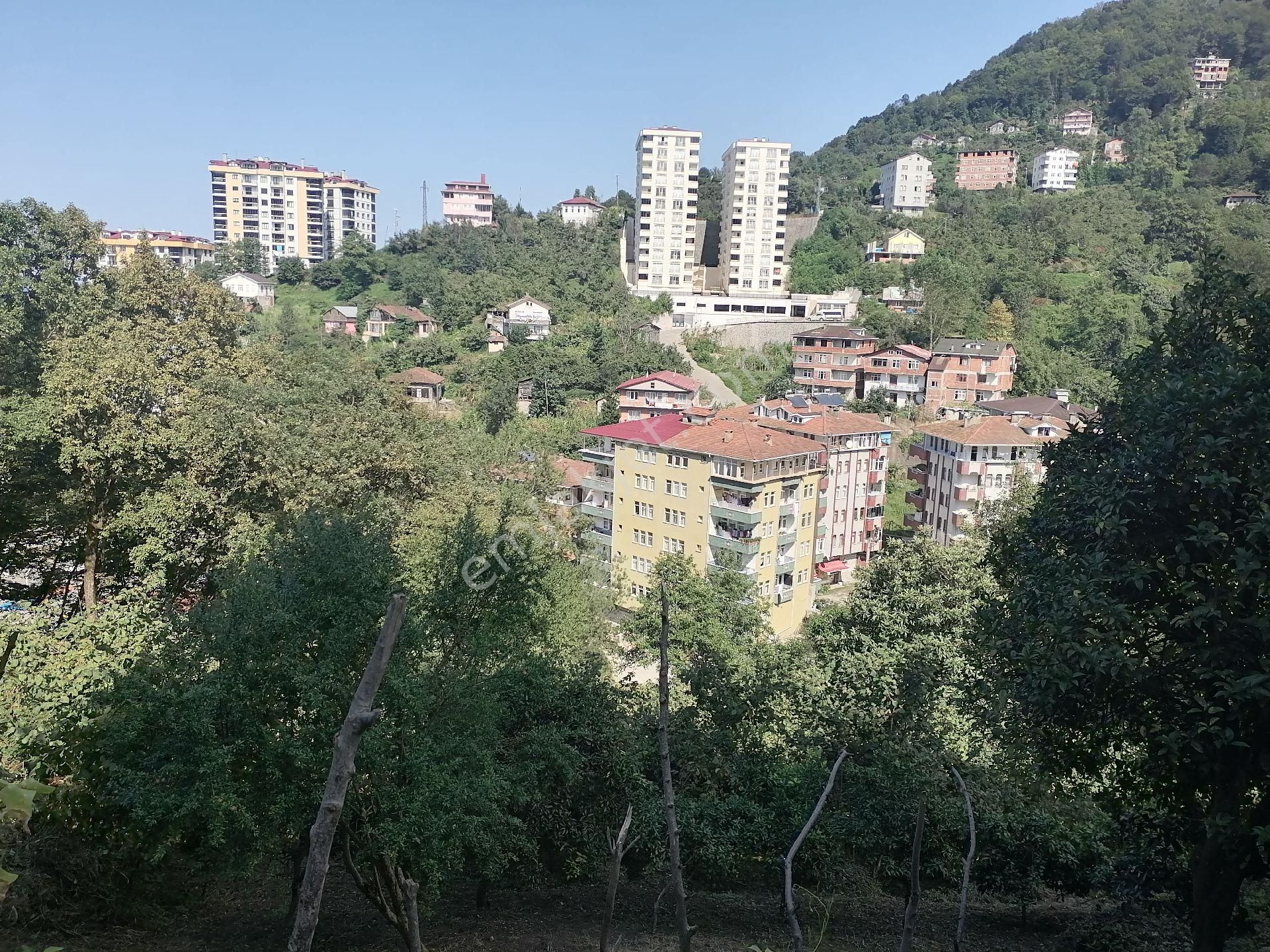 Sürmene Orta Satılık Daire sürmene orta mah deniz ve doğa manzaralı iki katlı 130 m2 ev ve arazi