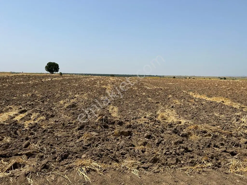Dolhan Köyü 21493 M2 Resmi Yolu Olan Asfalta Köye Yakın Satılık Tarla - Görsel 4