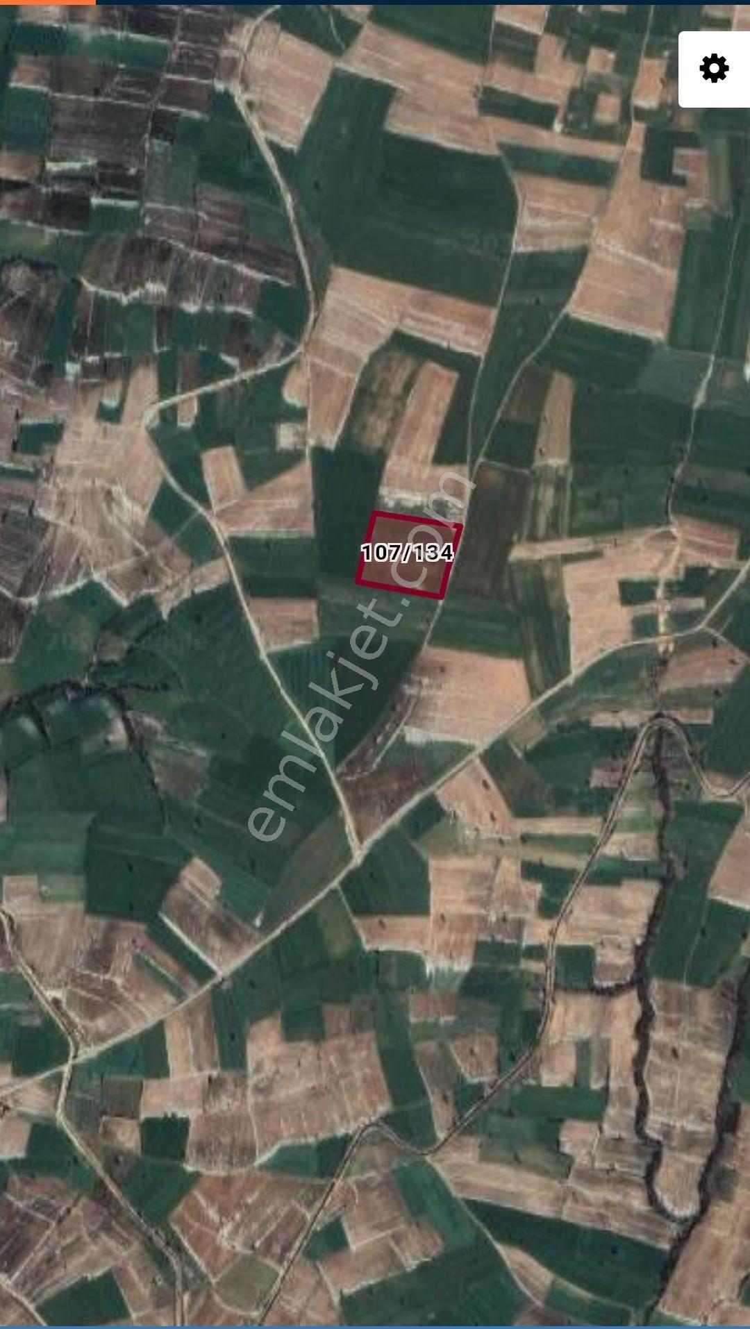 Dolhan Köyü 21493 M2 Resmi Yolu Olan Asfalta Köye Yakın Satılık Tarla - Görsel 7